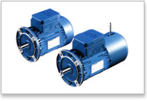 Asynchronous Three Phase Motors, Brake Motors
